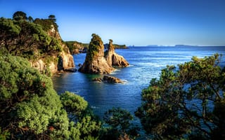 Картинка море, деревья, побережье, солнце, небо, камни, горизонт, Новая Зеландия, скалы, Hahei