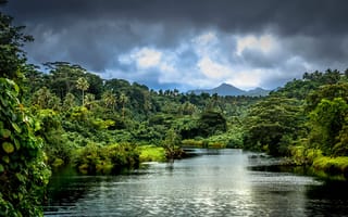 Картинка зелень, горы, река, тропики, деревья, пальмы, лес, джунгли, кусты, Samoa, облака