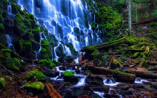 Картинка США, национальный лес Маунт-Худ, лето, Август, мох, лес, водопад, потоки, Ramona Falls, камни, Орегон, ветки