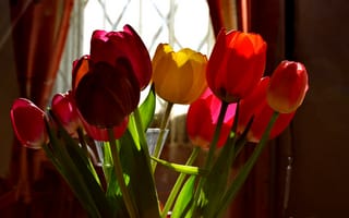 Картинка Весна, Тюльпаны, Tulips, Colors, Spring, Комната, Окно