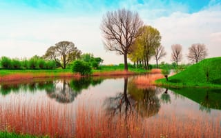 Картинка Природа, Англия, Май, весна