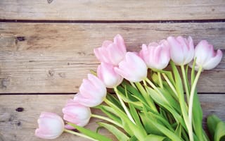 Обои wood, spring, romantic, тюльпаны, букет, pink, розовые тюльпаны, цветы, tulips