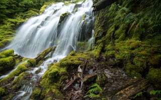 Картинка зелень, водопад, Upper Proxy Falls, США, Oregon, мох