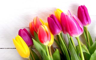 Обои цветы, букет, тюльпаны, colorful, spring, romantic, tulips, wood