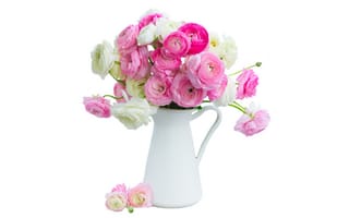 Картинка white, pink, flowers, розовые цветы, beautiful, ranunculus, лютики