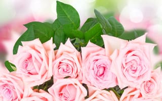 Картинка розы, букет, розовые розы, pink, flowers, roses