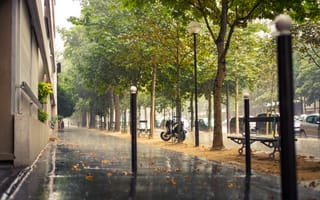 Картинка Paris, скамейки, тротуар, Франция, дорога, Париж, машины, город, деревья, улица, дома, France, лавочки, дождь, здания