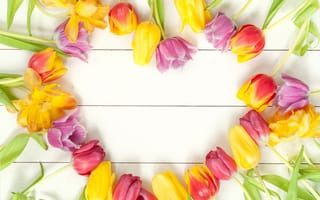 Картинка цветы, букет, tulips, colorful, wood, fresh, bright, beautiful, тюльпаны, весна, flowers, spring