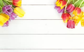 Картинка цветы, весна, fresh, beautiful, flowers, colorful, wood, тюльпаны