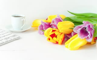 Картинка цветы, bright, flowers, кофе, tulips, весна, тюльпаны, beautiful, wood, colorful, fresh, coffee cup, spring