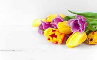 Картинка цветы, весна, beautiful, тюльпаны, fresh, flowers, colorful, tulips