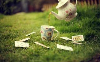 Картинка чашка, чайник, чай, газон, карты, трава, зелень