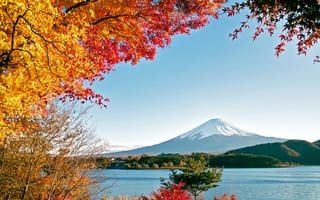 Картинка Фудзияма, природа, горы, море, осень, озеро, вода, деревья