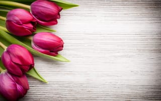 Картинка цветы, beautiful, pink, букет, tulips, flowers, розовые тюльпаны, fresh, wood