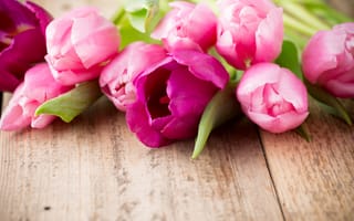 Картинка цветы, букет, tulips, beautiful, wood, pink, розовые тюльпаны, fresh, flowers