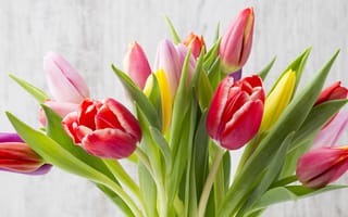 Обои цветы, букет, fresh, beautiful, colorful, tulips, flowers, тюльпаны, wood
