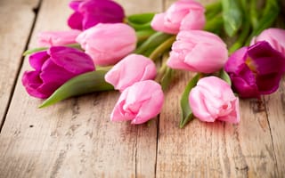 Картинка цветы, розовые тюльпаны, tulips, fresh, pink, wood, букет, beautiful, flowers