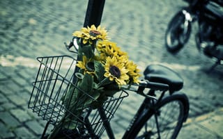 Обои настроения, велосипед, bike, flowers, корзина, подсолнух, цветочки, корзинка, контраст, цветочек, bicycle, размытие, синий, цветы, желтый, листья