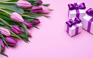 Обои розовые, подарки, бант, flowers, pink, tulips, love, purple, fresh, букет, romantic, gift, тюльпаны