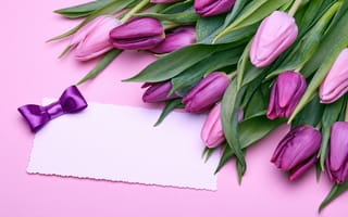 Картинка букет, тюльпаны, flowers, romantic, pink, love, tulips, бант, fresh, purple, розовые, 