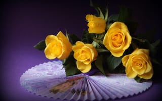 Картинка розы, веер, фиолетовый, жёлтые