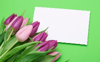 Картинка букет, pink, fresh, flowers, romantic, тюльпаны, tulips, purple, розовые