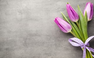 Картинка цветы, букет, spring, tulips, тюльпаны, beautiful, pink, purple, flowers, fresh, розовые