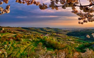 Картинка Италия, Апрель, Ломбардия, вечер, весна, долина, ветка, Коллио, цвет