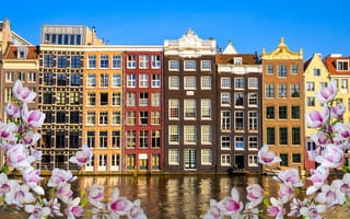 Картинка река, flowers, весна, blossom, Amsterdam, spring, Амстердам, buildings, old, цветение, Netherlands, canal