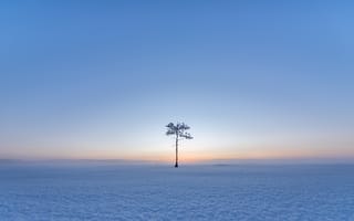 Картинка поле, снег, деревья