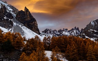 Картинка снег, деревья, склон, горы