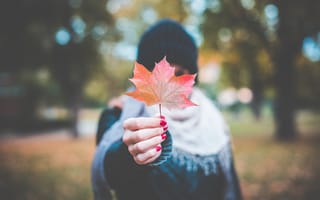 Картинка девушка, лист, маникюр, клен, ногти, кленовый