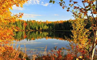 Обои Autumn, озеро, сентябрь, деревья, пруд, золотая осень, Golden autumn, листья, осень, облака, небо