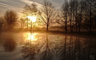 Картинка деревья, пруд, рассвет, утро, восход, отражение, весна