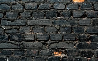 Обои wall, white, bricks, black, pattern