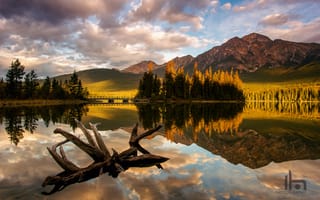 Картинка Канада, утро, Национальный парк Джаспер, свет, озеро, горы, Альберта, Pyramid Lake, коряга, лес