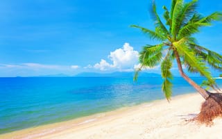 Обои песок, tropical, island, sand, paradise, beach, берег, summer, море, palms, sea, пляж, пальмы, солнце