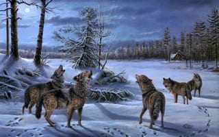 Картинка Mary Pettis, зима, лес, ночь, изба, живопись, волки, луна, стая, волк, Moonlight Chorus, хижина