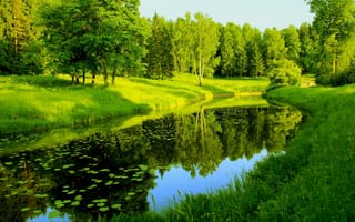 Картинка Природа, река, отражения, деревья, зелень
