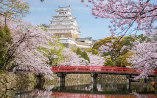 Картинка мост, замок, Япония, Химэдзи, сакура