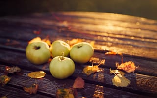 Картинка яблоки, природа, осень, урожай, листья, стол, вечер