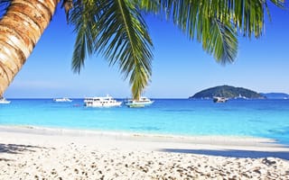 Обои песок, palms, sea, пляж, море, берег, paradise, summer, tropical, beach, island, солнце, sand, пальмы