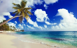 Обои солнце, пляж, palms, island, море, песок, берег, summer, paradise, sand, beach, tropical, sea, пальмы