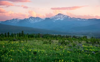 Картинка цветы, горы, луг, утро, Colorado, Rocky Mountains