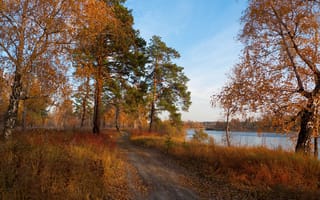 Обои Autumn, autumn mood, trees, river, forest, trace, fallen leafs