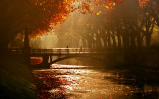 Картинка Дюссельдорф, Королевская аллея, деревья, канал, мост, осень