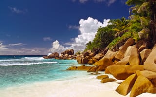 Картинка пальмы, вода, Сейшелы, море, острова, скалы, пляж, облака, океан, небо