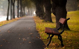 Картинка Autumn bench, улица, город