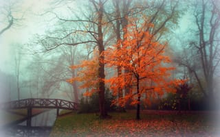 Картинка парк, пейзаж, туман, осень