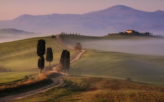 Картинка fog, Tuscany, Gladiator's Road
